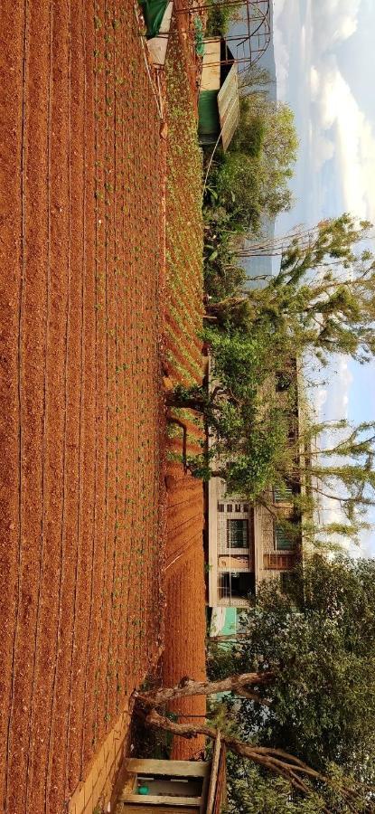 D-Lite Cottage Mahābaleshwar Dış mekan fotoğraf